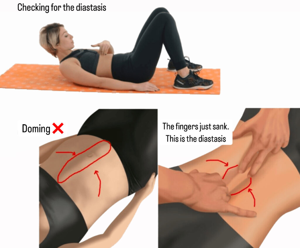 Это изображение имеет пустой атрибут alt; его имя файла - image0-1-1024x846.jpeg